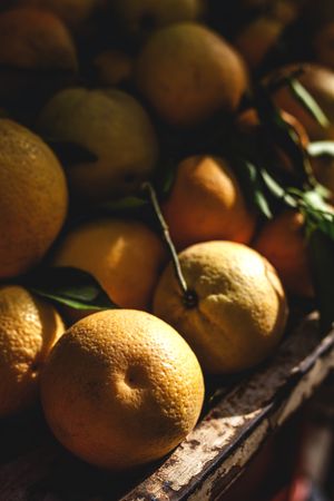 street market of assortment of fresh fruits and vegetables