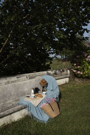 Delicious breakfast with tea and sweets on bench at garden