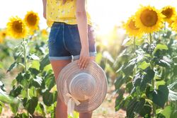 Carefree woman with straw hat walking along sunny sunflower field