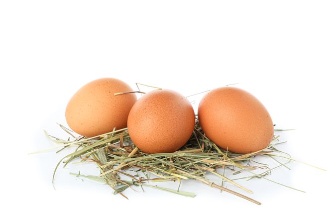 Brown chicken eggs on straw isolated on plain background