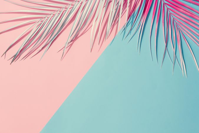 Tropical painted leaves on pink and blue background