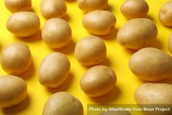 Close up of potatoes on yellow background 4mz1Xb