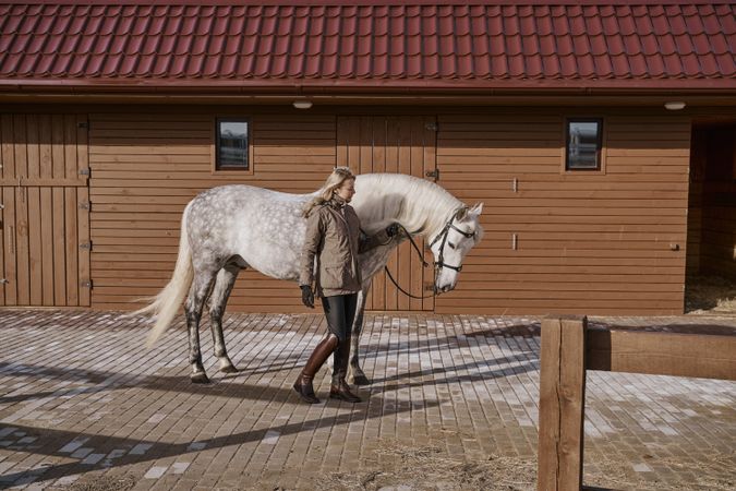 Warm dressed woman with gray horse outside
