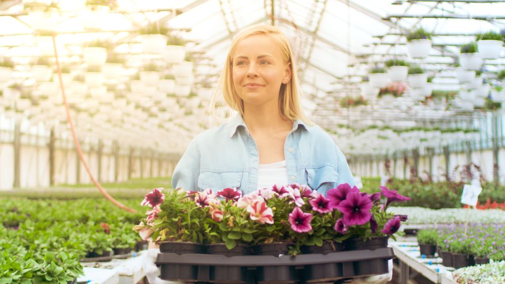 Agricultural Engineer Holds Box with Flowers.