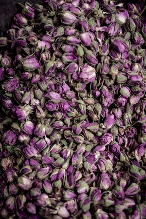 Heap of dried rose buds