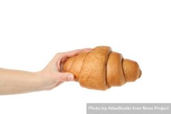 Female hand holding croissant, isolated on plain background 5pJAwb