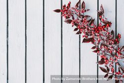 Branch of red holly berries on snowy wooden background 4ZxW30