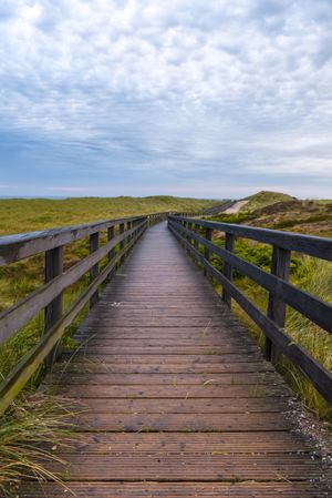 Wet wooden footpath on Sylt Island, in Germany