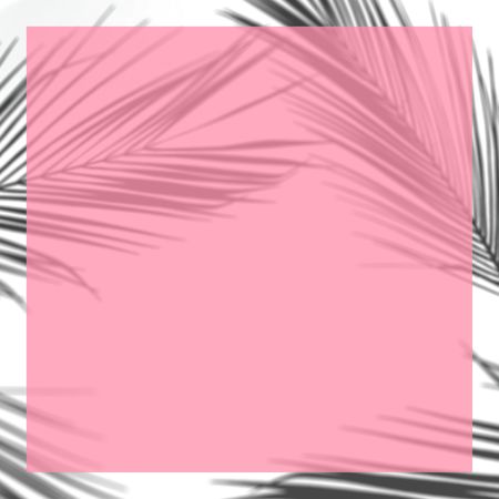 Shadows of tropical leaves on pink background with light border