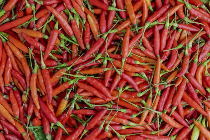 birds eye chili