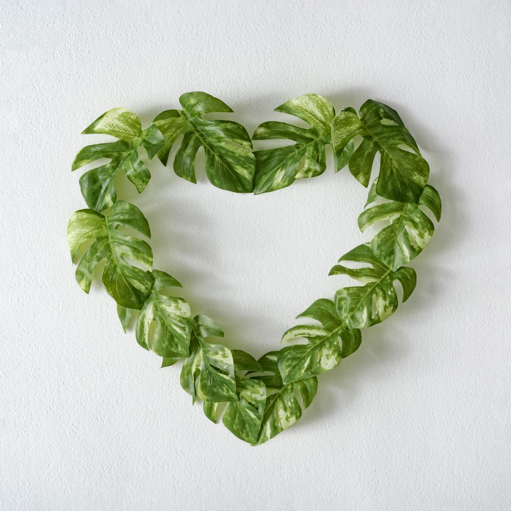Heart of monstera leaves on light  background