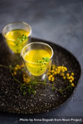 Two glasses of limoncello with garnish 5XLmP5