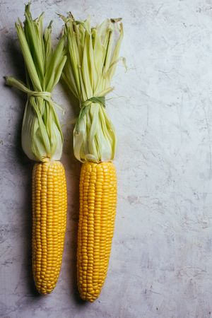 Phases of fresh corn peeling