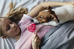 Dog reaching for lollipop held by young girl
