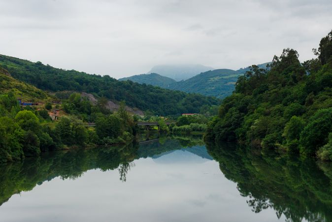 Peaceful river flowing in green nature