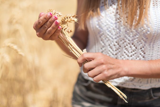 Crop woman with cereal grass in meadow