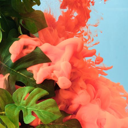 Tropical monstera leaves with pastel coral color cloud