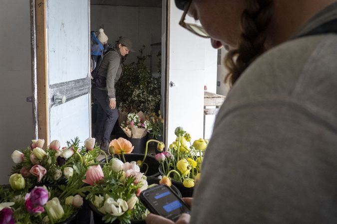 Gardeners preparing fresh flowers for market