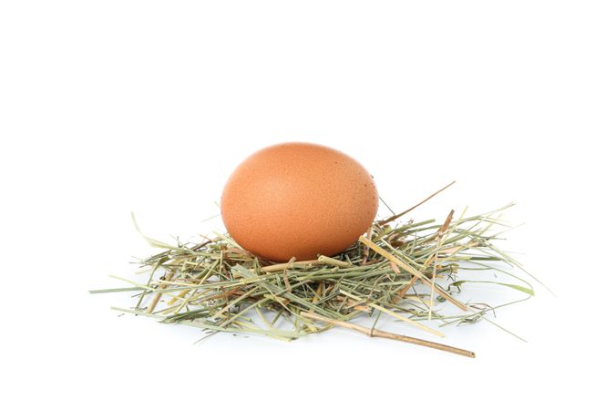 Brown chicken egg on straw isolated on plain background