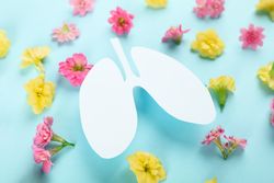 Lung cut out from paper on blue background surrounded by pink and yellow flowers