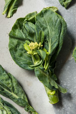 Raw Green Organic Asian Chinese Broccoli