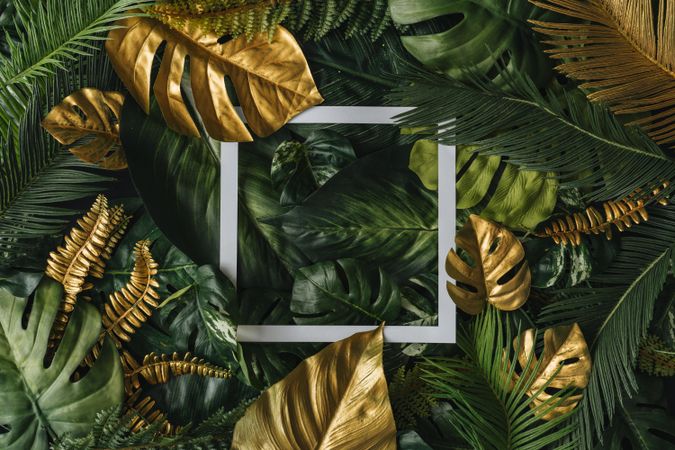 Densely packed green and gold leaves with square outline