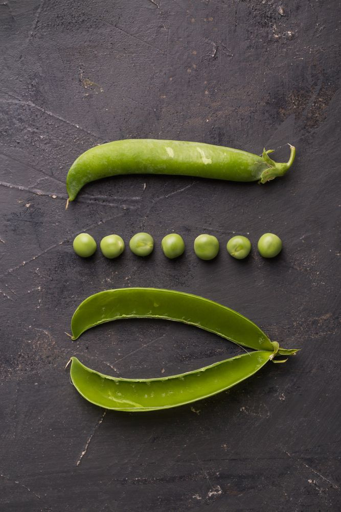 Fresh peas and pea pods on dark background