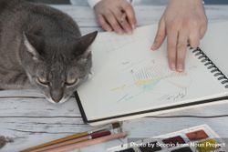 Person drawing pivot tables on notebook while cat lying beside 5r7gn4