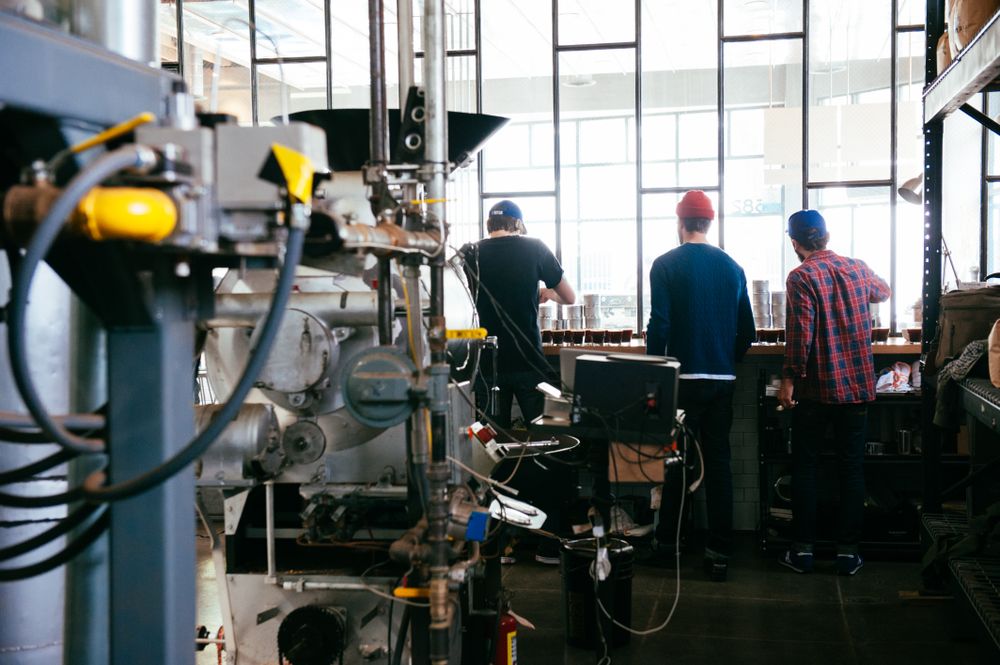 Back view of men tasting coffee at roasting facility