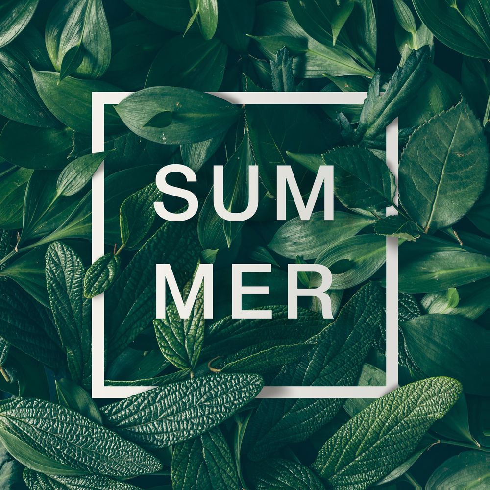 Green leaves layout with light  frame with the word “SUMMER”