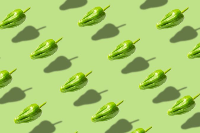 Fresh padron pepper