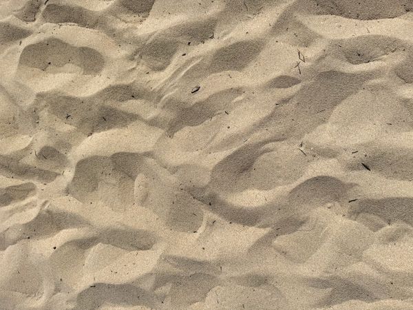 Coarse beach sand, ile de Ré, France