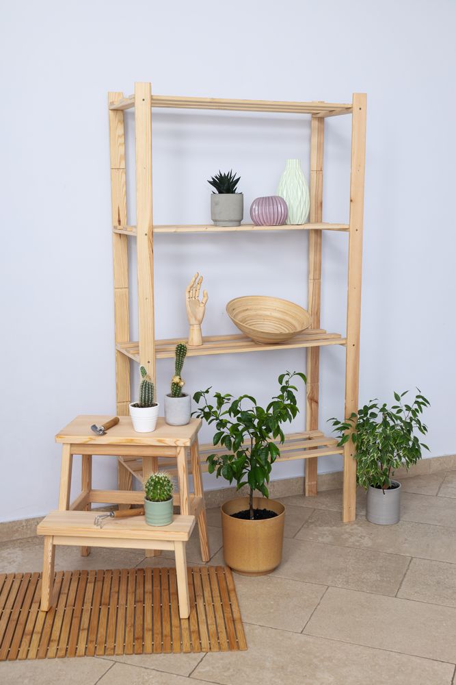 Cozy hobby - growing indoor plants at home