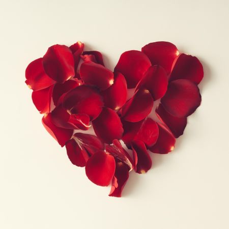 Red rose petals in a heart shape on light background