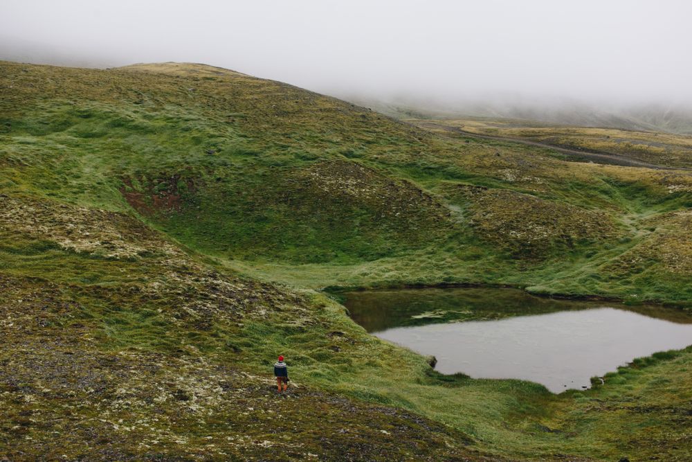 Man in vast green landscape
