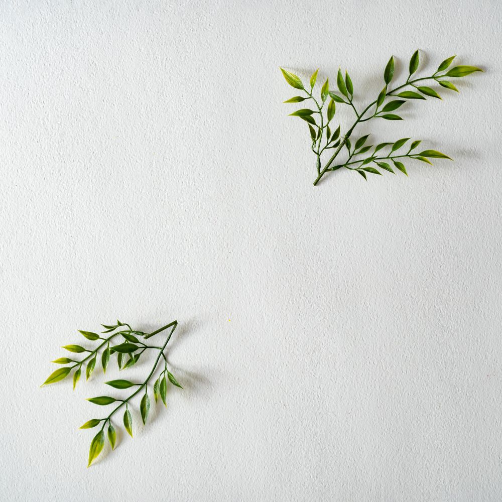 Layout made of green leaves and branches on light background