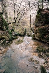 Pond in autumn day