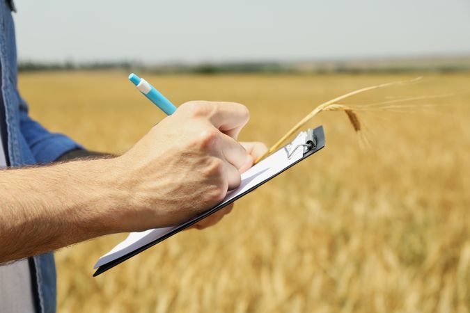 Young man with clipboard in barley field. Agriculture business. Farming