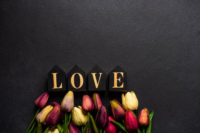 Tulips and the word "love" with dark background