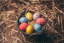 Set of Easter eggs on straw