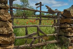 Wooden gates in rural fence