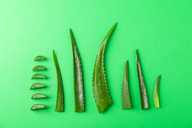 Aloe vera leaves and slices on color background, space for text. Natural treatment