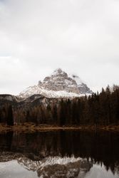 Big mountains near pine forest on cloudy weather