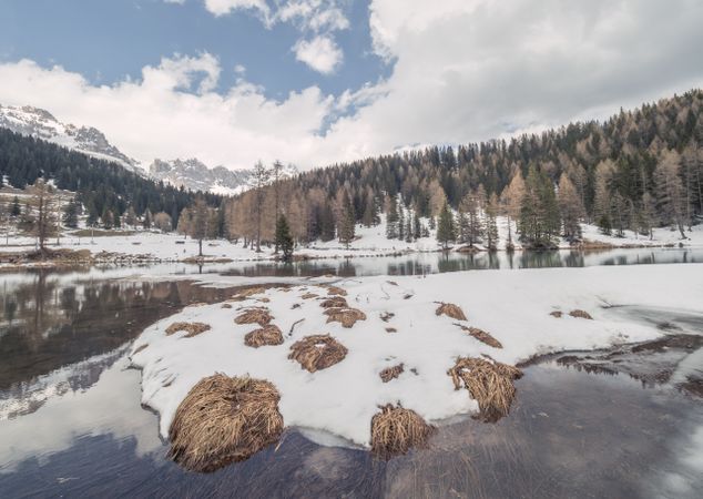 Beautiful landscape of snowy shore water and dry green forest