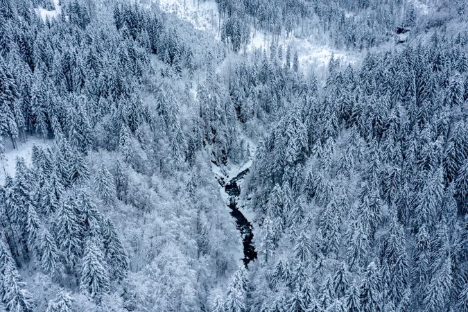 Aerial image with a snow-covered woodland and river in the Bavarian Alps, Germany