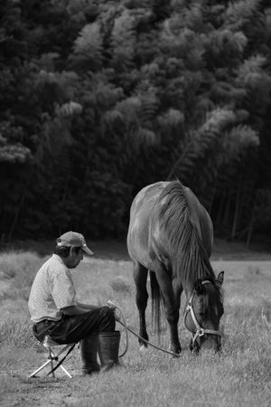 Grayscale photo of sitting on chair beside horse on grass field in Itoshima, Fukuoka, Japan