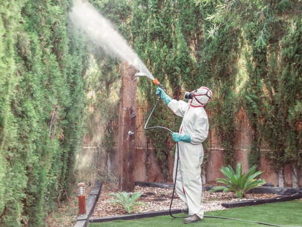 Fumigator in uniform spraying substance on fence