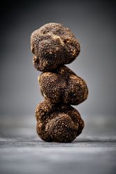 Delicious Truffles