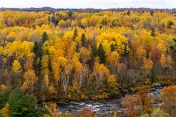 Aerial of beautiful all forest