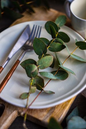 Grey plate with eucalyptus leaves